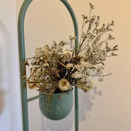 Charming Duplex Loft In Center דירה *