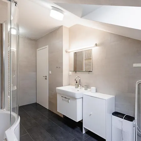 Apartment Charming Duplex Loft In Center *