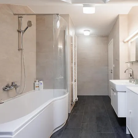 דירה Charming Duplex Loft In Center פראג