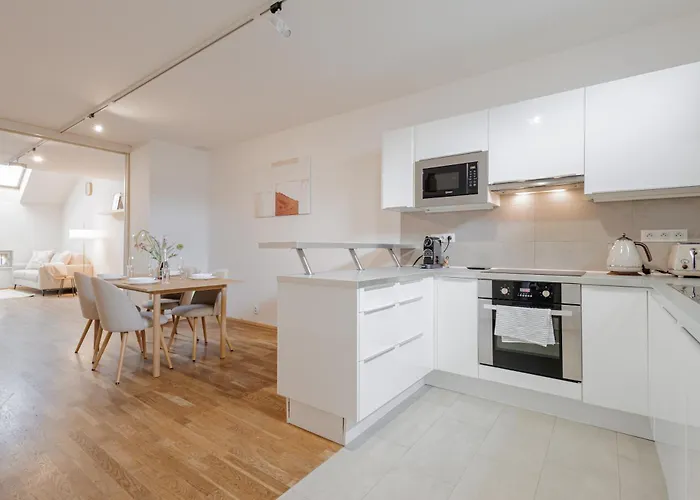 Charming Duplex Loft In Center Apartment