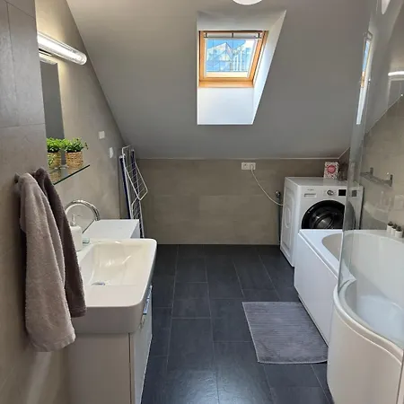 Charming Duplex Loft In Center 公寓 布拉格